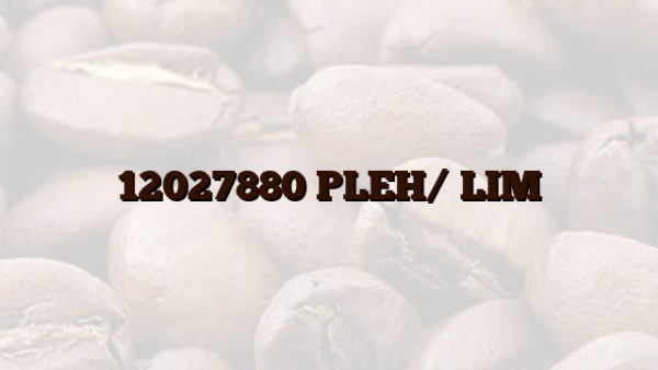12027880 PLEH/ LIM