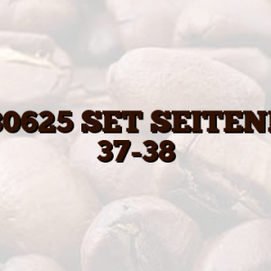 210480625 SET SEITENROST 37-38