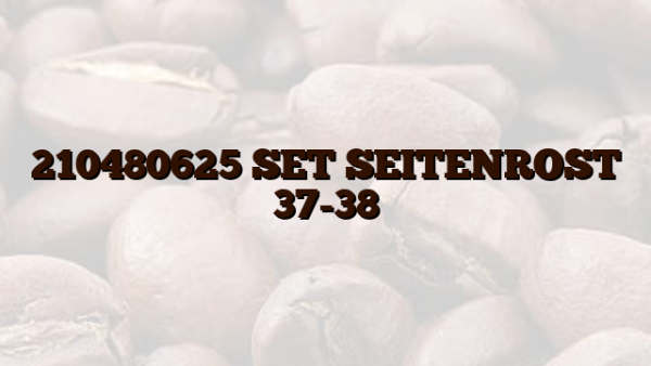 210480625 SET SEITENROST 37-38