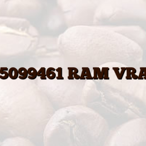4055099461 RAM VRATA