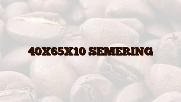 40X65X10 SEMERING