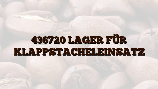 436720 LAGER FÜR KLAPPSTACHELEINSATZ