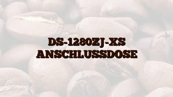 DS-1280ZJ-XS ANSCHLUSSDOSE