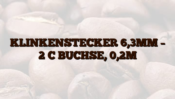KLINKENSTECKER 6,3MM – 2 C BUCHSE,  0,2M