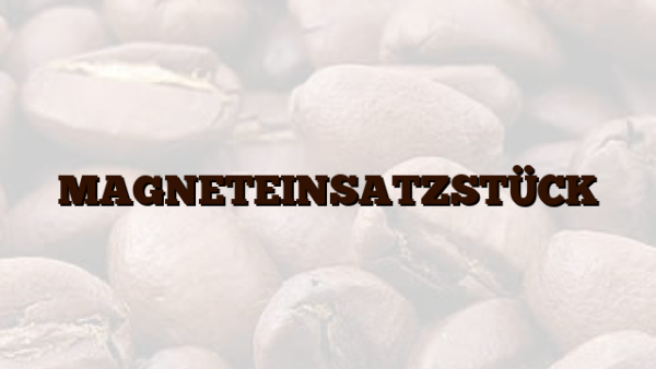 MAGNETEINSATZSTÜCK