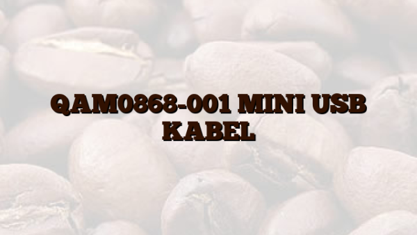 QAM0868-001 MINI USB KABEL