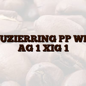 REDUZIERRING PP WEISS AG 1  XIG 1