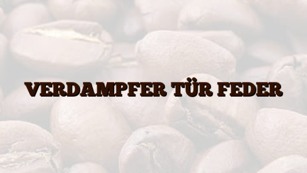 VERDAMPFER TÜR FEDER