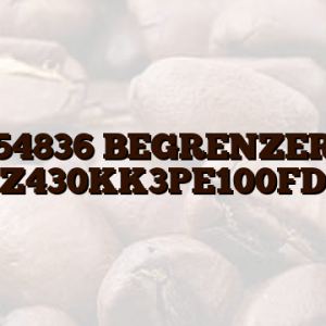 00154836 BEGRENZER-TE Z430KK3PE100FD
