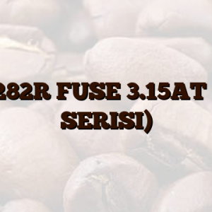 054282R FUSE 3.15AT (219 SERISI)