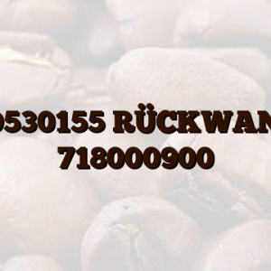 09530155 RÜCKWAND 718000900