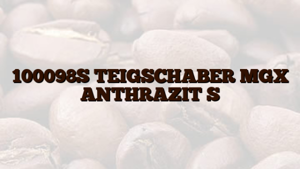 100098S TEIGSCHABER MGX ANTHRAZIT S