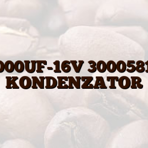 1000UF-16V 30005819 KONDENZATOR