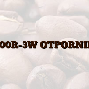 100R-3W OTPORNIK
