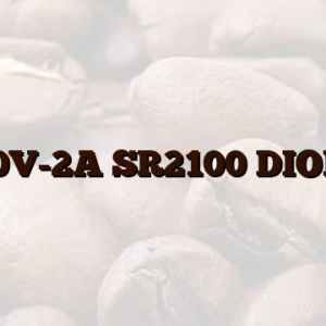 100V-2A SR2100 DIODA