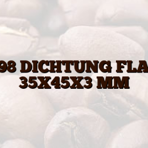 101198 DICHTUNG FLACH 1   35X45X3 MM