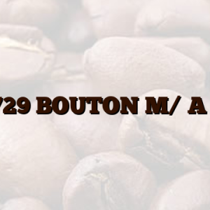 1063729 BOUTON M/ A GRIS