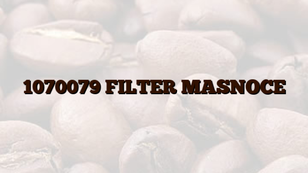 1070079 FILTER MASNOCE