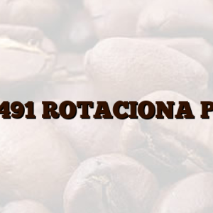 11002491 ROTACIONA PLOČA