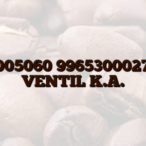11005060 996530002717 VENTIL K.A.