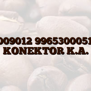 11009012 996530005175 KONEKTOR K.A.