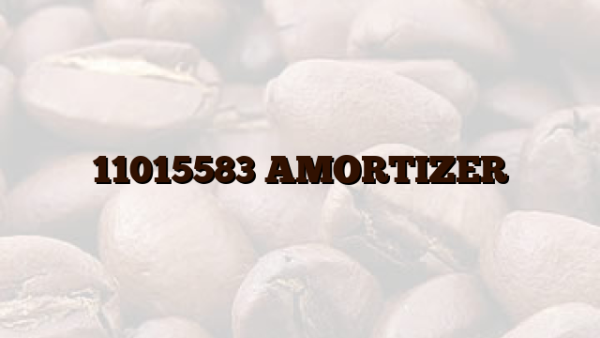 11015583 AMORTIZER