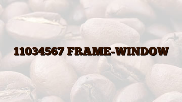 11034567 FRAME-WINDOW
