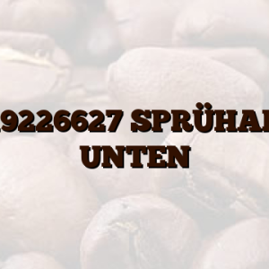 1119226627 SPRÜHARM UNTEN