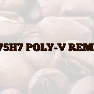 1975H7 POLY-V REMEN