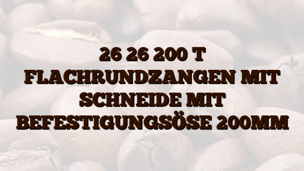 26 26 200 T FLACHRUNDZANGEN MIT SCHNEIDE MIT BEFESTIGUNGSÖSE 200MM