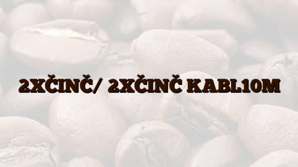 2XČINČ/ 2XČINČ KABL10M