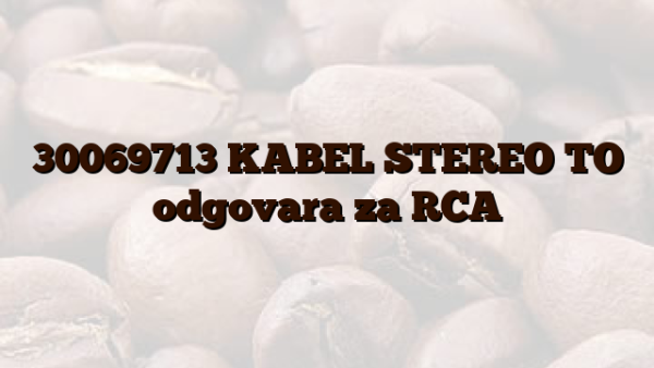 30069713 KABEL STEREO TO  odgovara za RCA