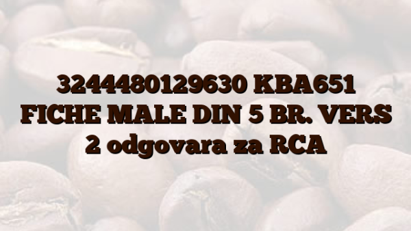 3244480129630 KBA651 FICHE MALE DIN 5 BR. VERS 2  odgovara za RCA