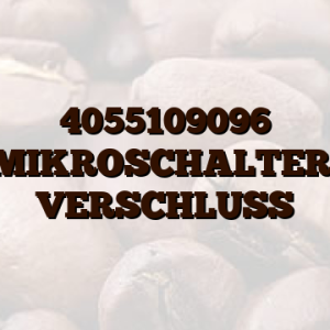 4055109096 MIKROSCHALTER, VERSCHLUSS
