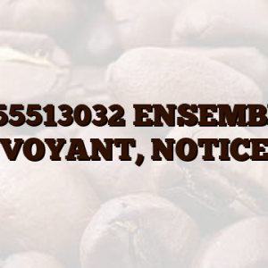 4055513032 ENSEMBLE, VOYANT, NOTICE