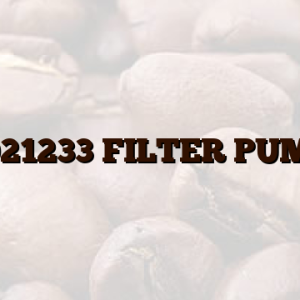 41021233 FILTER PUMPE