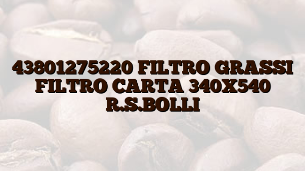 43801275220 FILTRO GRASSI FILTRO CARTA 340X540 R.S.BOLLI