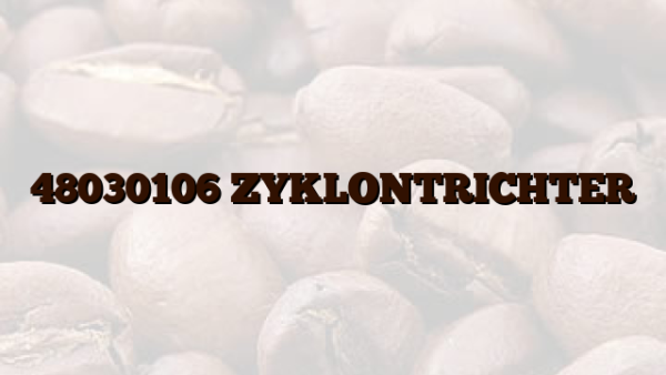 48030106 ZYKLONTRICHTER