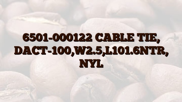 6501-000122 CABLE TIE, DACT-100,W2.5,L101.6NTR, NYL