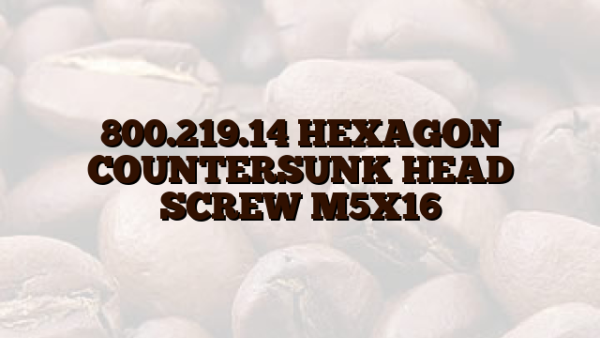 800.219.14 HEXAGON COUNTERSUNK HEAD SCREW M5X16