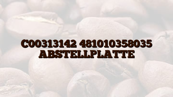 C00313142 481010358035 ABSTELLPLATTE