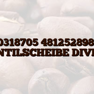 C00318705 481252898011 VENTILSCHEIBE DIVERT