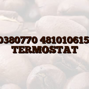 C00380770 481010615118 TERMOSTAT