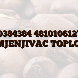 C00384384 481010612767 IZMJENJIVAC TOPLOTE