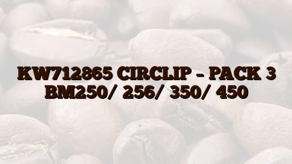 KW712865 CIRCLIP – PACK 3 BM250/ 256/ 350/ 450