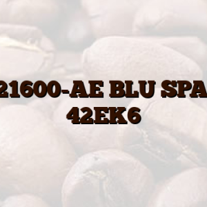 ZJB21600-AE BLU SPACER 42EK6