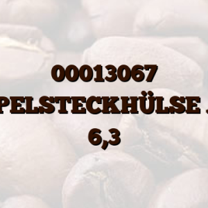 00013067 DOPPELSTECKHÜLSE AMP 6,3
