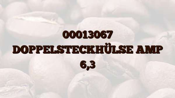 00013067 DOPPELSTECKHÜLSE AMP 6,3