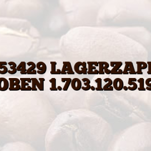 00153429 LAGERZAPFEN OBEN 1.703.120.519