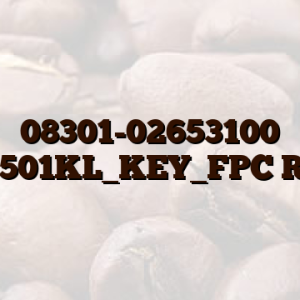 08301-02653100 ZB501KL_KEY_FPC R1.3